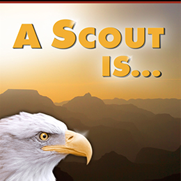 a-scout-is-cover